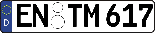EN-TM617