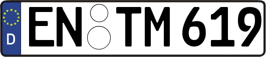 EN-TM619