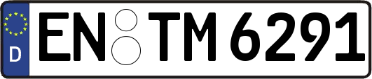 EN-TM6291