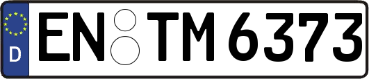 EN-TM6373