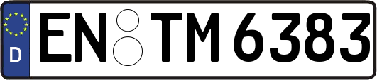 EN-TM6383