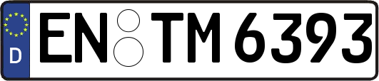 EN-TM6393