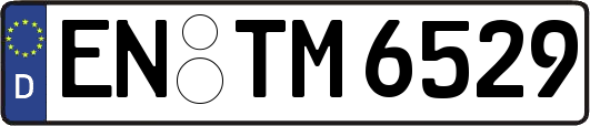 EN-TM6529