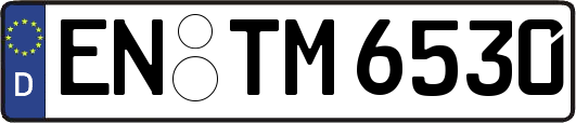 EN-TM6530