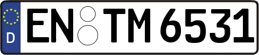 EN-TM6531