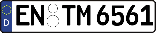 EN-TM6561
