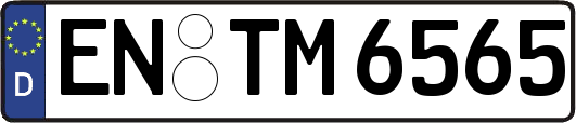 EN-TM6565