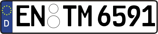 EN-TM6591