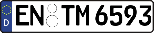 EN-TM6593