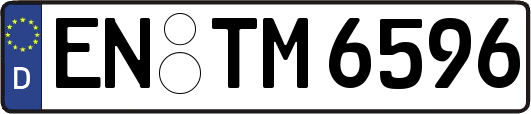 EN-TM6596