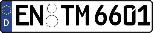 EN-TM6601
