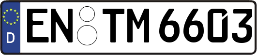EN-TM6603
