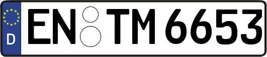 EN-TM6653