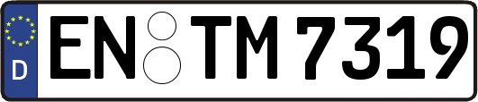 EN-TM7319