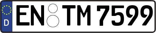 EN-TM7599