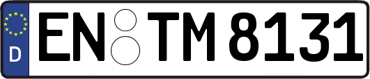 EN-TM8131