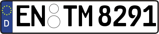 EN-TM8291