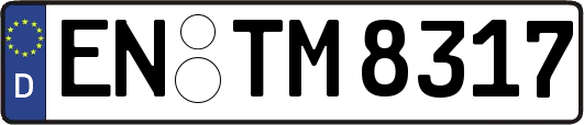 EN-TM8317