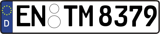 EN-TM8379
