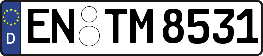 EN-TM8531
