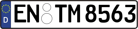 EN-TM8563