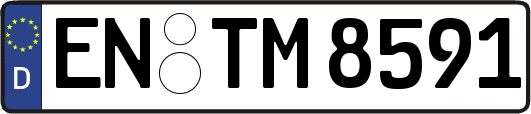 EN-TM8591