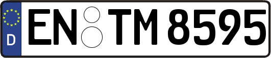 EN-TM8595
