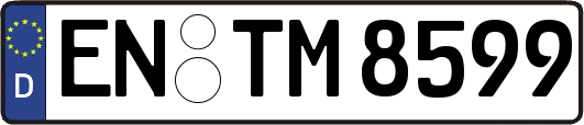 EN-TM8599