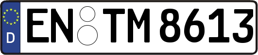 EN-TM8613