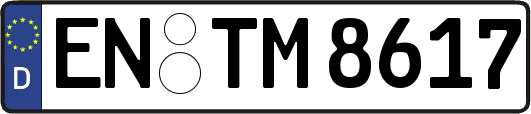 EN-TM8617