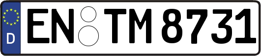 EN-TM8731