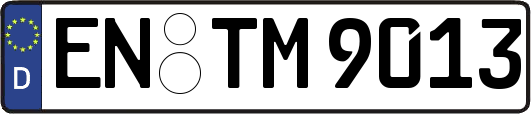 EN-TM9013