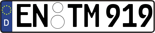 EN-TM919