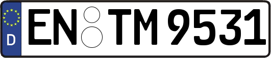 EN-TM9531