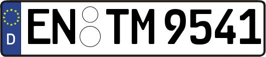 EN-TM9541