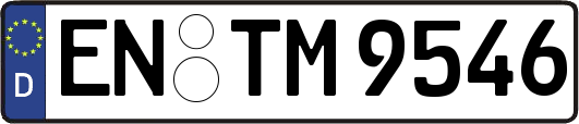 EN-TM9546
