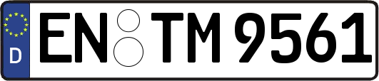 EN-TM9561