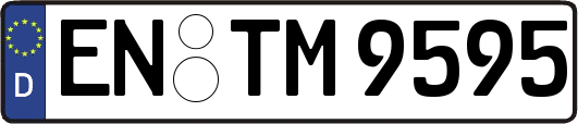 EN-TM9595