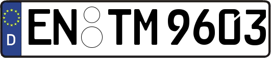 EN-TM9603