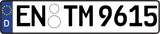 EN-TM9615