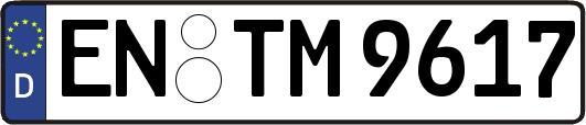 EN-TM9617