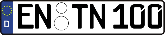 EN-TN100