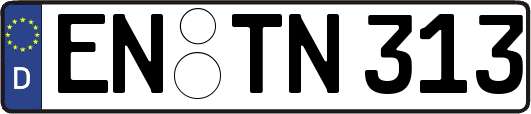 EN-TN313
