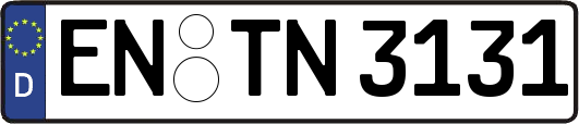 EN-TN3131