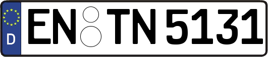 EN-TN5131