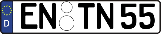 EN-TN55