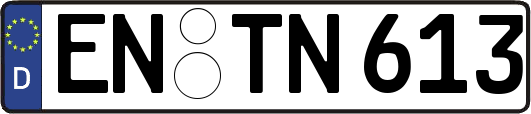 EN-TN613