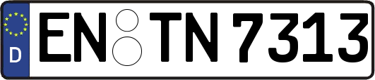 EN-TN7313