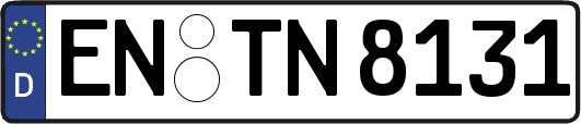 EN-TN8131