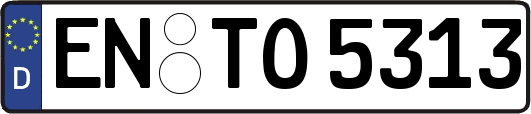 EN-TO5313